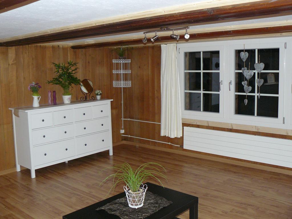 Apartment Lindi Lütschenthal Rum bild